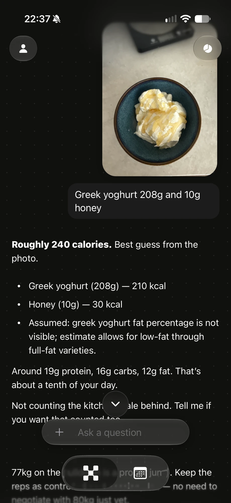 trainerX estimating calories and macros from a photo of a bowl of Greek yoghurt and honey: roughly 240 calories, 19g protein, 16g carbs, 12g fat
